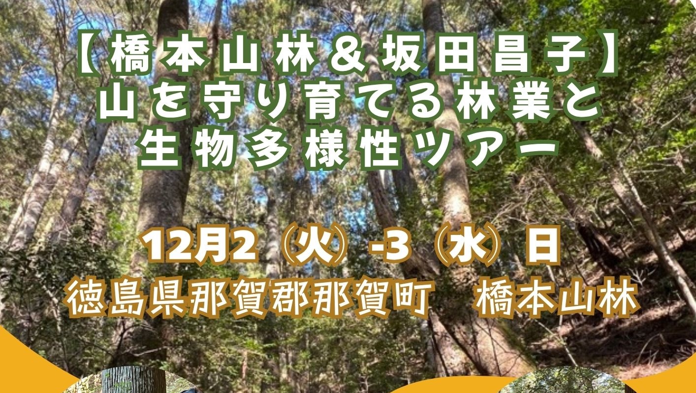 【満員御礼】橋本山林企画「山を守り育てる林業と生物多様性ツアー」12/2-3開催の募集が開始されました!