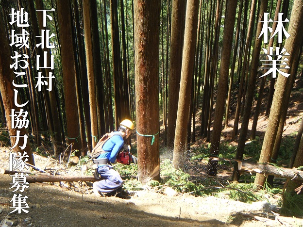 奈良県下北山村で自伐型林業家モデルを募集中！（※締め切りました！）